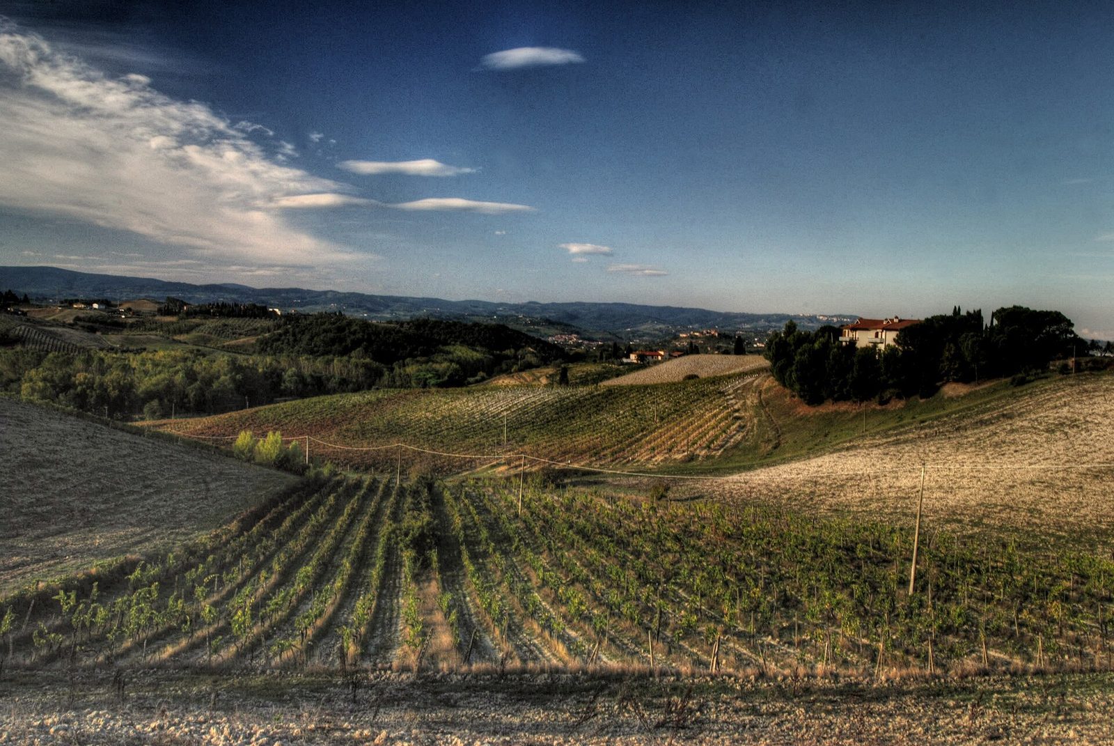 A day in Chianti: chauffeur, lunch, light